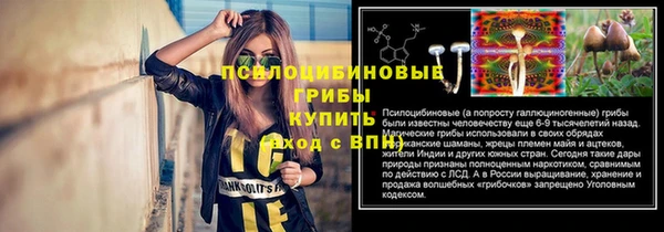 сатива Верхнеуральск